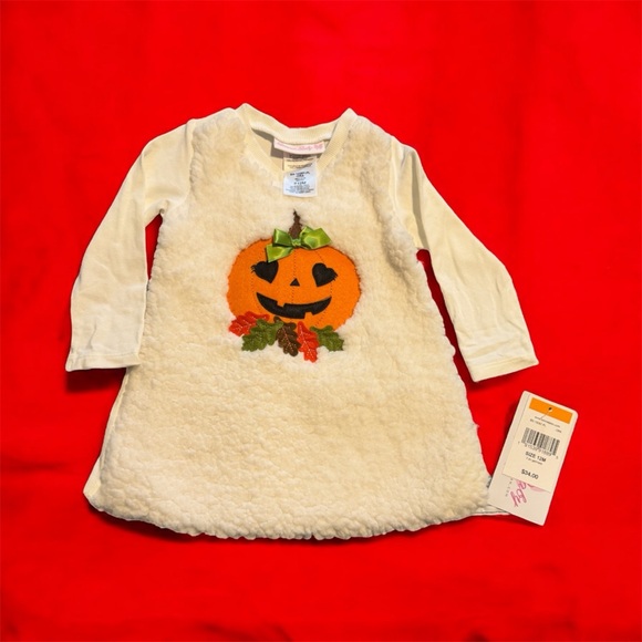 Other - NWT Baby Girl Pumpkin Short – Fuzzy Sherpa Long Sleeve Shirt – Fall Outfit 12 mo